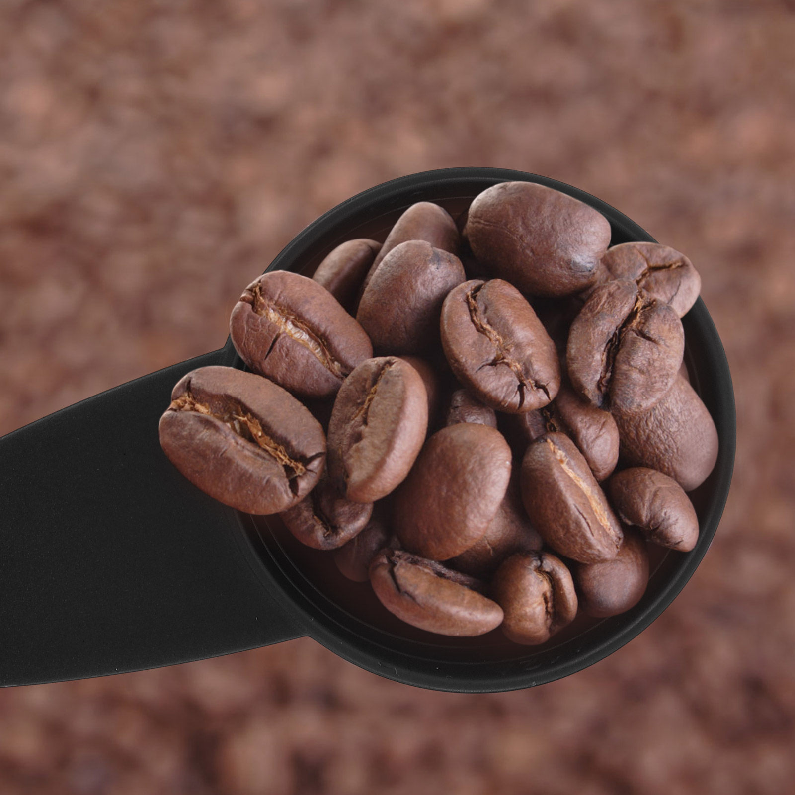 5Pcs Measure Spoon Long Handle - đánh giá và giá Coffee Tea Sugar
